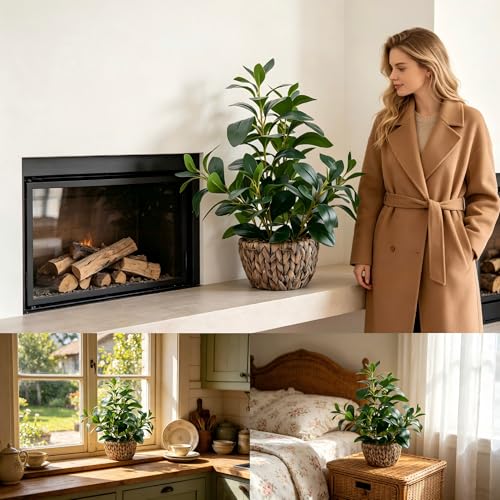 AlphaAcc 18.8 Inch Artificial Ficus Plant Indoor Faux Greenery Potted in Rattan Woven Basket Planter with Decorative Pebbles Realistic Fake Plant for Home Living Room Office Table Desk Shelf Decor - color: Green Ficus Plant 18.8" H