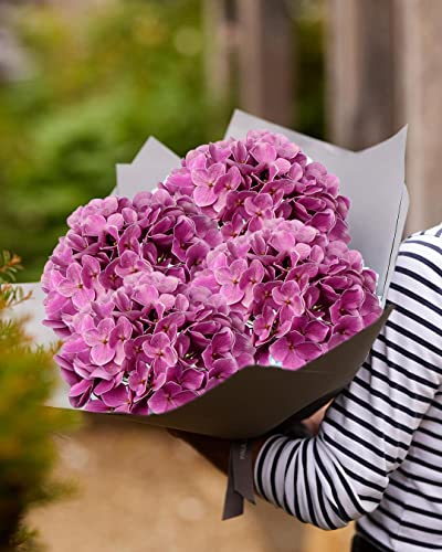 DILATATA Silk Hydrangea Flower 26" Big Fake Hydrangea Faux Flowers Lifelike Tall Artificial Hydrangea Real Touch Hydrangea for Wedding Ceremony Centerpieces Decor-3pcs - color: Purple #3, size: 3PCS