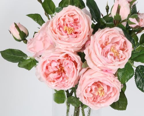 Real Touch Pink Austin Roses Peonies Artificial Flowers 4 Bouquets Latex Fake Peonies with Long Stem Realistic Faux Peonies Flower for Wedding Party Home Table Centerpieces Decorations (Pink) - color: Pink