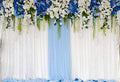 AOFOTO 10x6.5ft Blue White Flowers Curtain Wedding Backdrop Romantic Floral Wall Drapes Bride Groom Ladies Girls Photoshoot Background for Wedding Reception Ceremoney Birthday Cake Table Decor Banner - size: 10x6.5ft