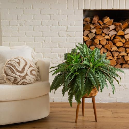 Nearly Natural 40in Boston Fern Artificial Plant, Large Hanging Fake Plant with 56 Long Realistic Fronds, Maintenance-Free Faux Fern for Office and Home Décor (Set of 2) - size: 40" - Set of 2