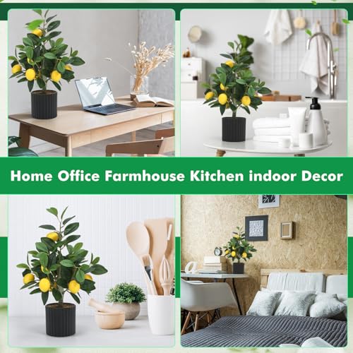 Giegxin 2 Pcs Artificial Lemon Tree 15.7 Inches Fake Artificial Potted Plants Faux Lemon Citrus Tree with Pot Faux Plants Indoor for Home Kitchen Office Living Room Table Desk (Black Pot) - color: Black Pot