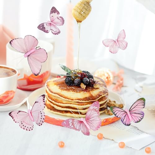 Cartanfill- Artificial Feather Simulation Butterfly Party Decoration Set, a Set of 12 Pieces with Clips, Used for Home Decoration in 12 Colors.… (C Clip) - color: C Clip
