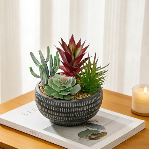 Briful Fake Succulents in Black Cement Pot, Artificial Succulent Plants Arrangement for Home Decor, Small Faux Potted Plants Tabletop Centerpiece, Desk Office Bathroom Shelf Decorations - color: Black