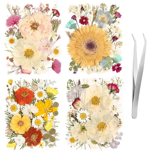 140pcs Dried Pressed Flowers Bulk, Natural Fall Pressed Dried Flowers with Tweezer for DIY Crafts Resin Mold Candles Cake Bridal Scrapbooking Supplies - size: Elegant