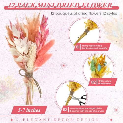 Layhit 12 Pcs Boho Dried Flower Bouquet Mini Wedding Handmade Dry Flowers Decor for Vase Crafts DIY Photo Boutonniere for Men Floral Plant for Bridesmaid Gift Birthday Decor(Lively) - style: Lively