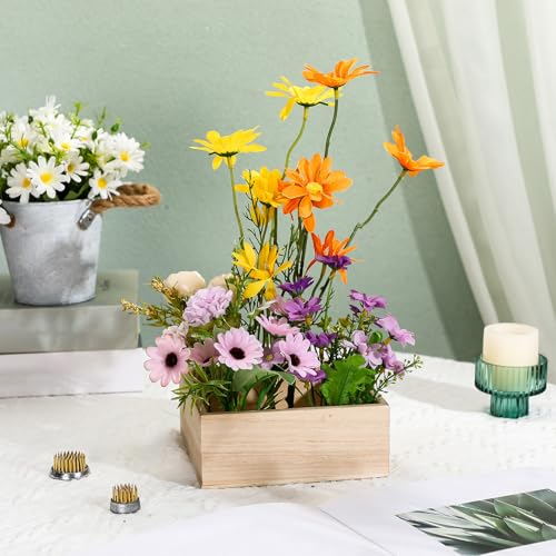 Sliner 6 Pcs Flower Frogs Round 2.4/2/1.6/1.3/1/0.9 Inches Floral Frogs Flower Holder Japanese Ikebana Vase Kenzan Floral Arranger Fixed Tools Arrangement Pin for Home DIY Craft Decoration(Brass) - size: 6 Size