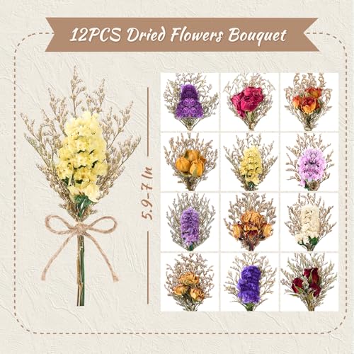 12/24 PCS Charming Dried Flowers Bouquet for Vase Various Dried Wildflowers with Stems Mini Handmade Wildflowers Natural Real Flowers Bulk Flowers Craft (Forget Me Not, 12 PCS) - color: Forget Me Not
