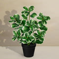 17" Artificial Rubber Plant in Black Pot, Faux Ficus Plant Potted with Cream White Edge Foliages, Fake Greenery Plant for Home Office Tropical Decor - size: 17" & Small