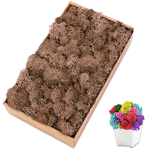 Preserved Reindeer Moss, 7 oz Brown Decorative Craft Moss for Potted Plants, Fairy Gardens, DIY Wall Art, Floral Arrangements, Christmas Easter Wedding Holiday Decor - color: Brown, size: 7 OZ