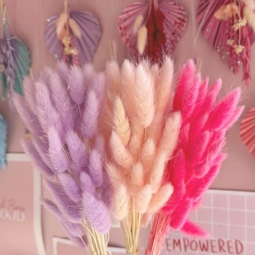 120pcs Light-Purple Bunny Tail Pampas Grass Dried Flowers for Vase Boho Flowers Dried Babys Breath Wedding Decor Dry Flowers for Vase (Purple 120 PCS)