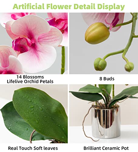 CXGS Artificial Orchid Flowers Light Pink Faux Orchids with Ceramic Vase Vivid Fake Phalaenopsis Flower Arrangement Gorgeous Artificial Plants for Wedding Party Exhibition Center Home Decor - color: Light Pink- Silver