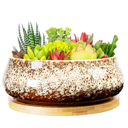 ARTKETTY Succulent Pots - 8 Inch Plant Pot, Large Bonsai Pots with Drainage Tray, Ceramic Planters for Indoor Outdoor Plants, Round Shallow Cactus Flower Plant Container Bowl Decorative Home Garden - color: White