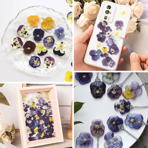 60Pcs Dried Pressed Pansies Flowers for Cake Decorating, Purple Real Dry Flower for Resin Art Crafts Jewelry Decorations - size: Purple