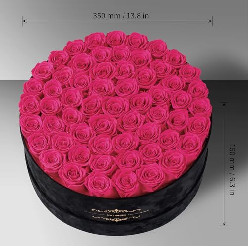Gifts for Women – NATROSES 60 Preserved Roses in Luxury Black Velvet Box, Preserved Flowers for Delivery Gift for Her, Elegant Rose for Birthday, Mother’s Day, Christmas (Hot Pink) - color: Hot Pink, size: 60 Roses
