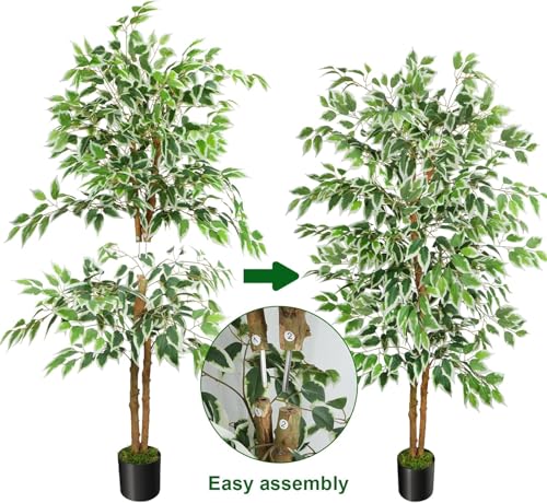 GTIDEA 2 Pcs 5ft Ficus Artificial Trees, Tall Faux Trees with Natural Trunk, Fake Silk Tree Artificial Plants for Home Decor Indoor Living Room Outdoor Balcony House Office (Included Dried Moss) - color: 5ft Ficus Tree-2pack (No Vase)