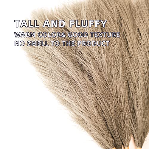 Faux Pampas Grass, 18"/45cm Artificial Pampas Grass Fluffy 6 Stem pompous Grass Flower Arrangement for Boho Home Wedding Decoration (Taupe) - color: Taupe
