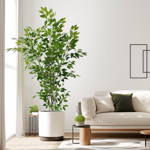 6ft Artificial Ficus Tree with White Plastic Planter | Collapsible trunk structure enables quick assembly and compact space-saving storage - color: Green, size: 6ft