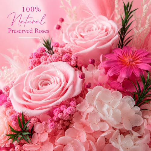 Preserved Pink Rose Bouquet, 100% Real Flowers for Women Mother Wife, Long-Lasting Eternal Roses with Gift Box, Forever Flowers for Anniversary Birthday Mother's Day, Lasts 3-5 Years - color: Soft Pink