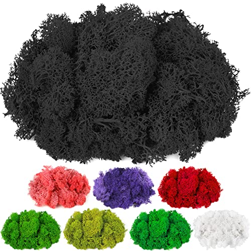 CCINEE Moss Preserved, 4 OZ Fake Reindeer Moss for Potted Plants for Craft Arts Floral Wall Decor Wedding Centerpieces Fairy Garden Artificial Terrariums Decoration for Christmas(Black) - color: Black