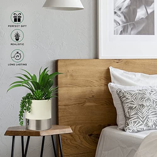 Hollyone Large Artificial Succulents Plants Faux Succulents 12" Fake Succulent Plants in Sliver Ceramic Pot Succulent Plant for Desk Modern Home Living Room Office Table Bathroom Decor - color: Mercury - Silver 1