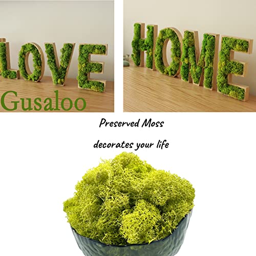 Moss Preserved Artificial Moss for Potted Plants Natural Fresh Green Moss for Craft Arts Floral Wall Decor Wedding Centerpieces Garden Terrariums Decoration - Lemon Yellow 3.5OZ - color: Lemon Yellow, size: 3.5oz