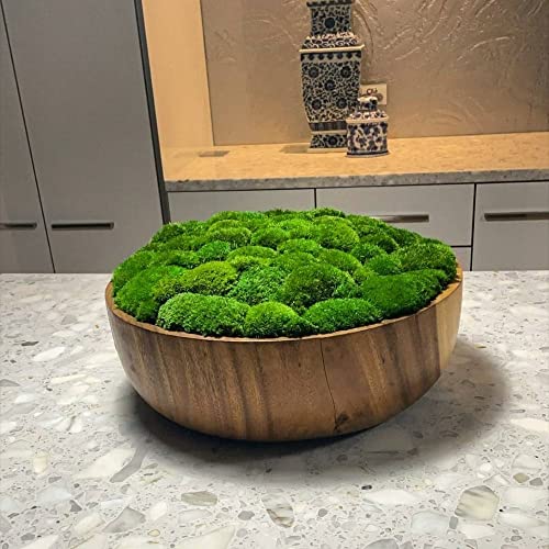 Preserved Pole Moss Pillow Bun Cushion Natural Green Decorative Real Natural Green DIY Kit Terrariums Gardenning Art Wall Decor Florist Decor Easter Table Decor Wedding(15.0 sq.ft., Green-B) - color: Green-b, size: 15.0 sq.ft.