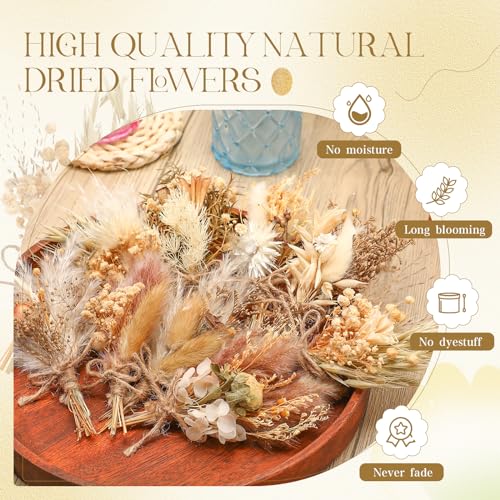 Layhit 12 Pcs Boho Dried Flower Bouquet Mini Wedding Handmade Dry Flowers Decor for Vase Crafts DIY Photo Boutonniere for Men Floral Plant for Bridesmaid Gift Birthday Decor(Rustic) - style: Rustic