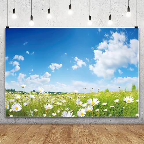 7x5ft Spring Backdrop for Photography Blue Sky White Clouds Daisy Flowers Wedding Themed Party Backdrop Flowers Field Natural Scenery Background Outdoor Garden Floral Blossom Video Props - size: 7x5ft