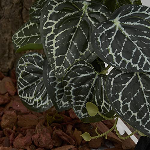 Reptile Plants for Terrarium, Amphibian Habitat Decor Artificial Hanging Plants with Suction Cup - Fake Anthurium Crystallinum - color: Fake Anthurium Crystallinum