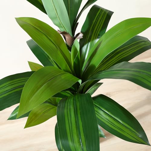 Artificial Dracaena Tree 6ft, Tall Fake Dracaena Plants with White Planter, Faux Dragon Tree Indoor Floor Plant for Home Decor Office Living Room Porch Housewarming, 1Pcs - size: 6ft