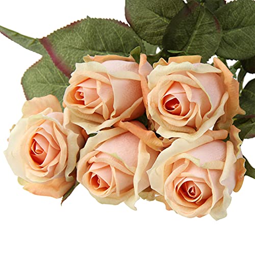 DILATATA Artificial Realistic Roses Peach Flowers 24" Real Touch Silk Roses Bouquet Long Stems Rose Fake Roses Decor for Home Party Wedding Table Centerpieces Roses Realistic - 5 Pcs - color: Peach