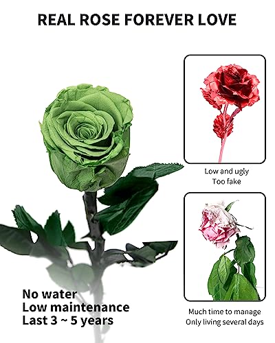 Green Flowers for Delivery Prime, Preserved Green Roses Flower Gifts for Women, Real Roses Single Rose Gifts for Her, Mom Birthday Gifts from Daughter, Valentines Flowers - color: 14-yellow Green