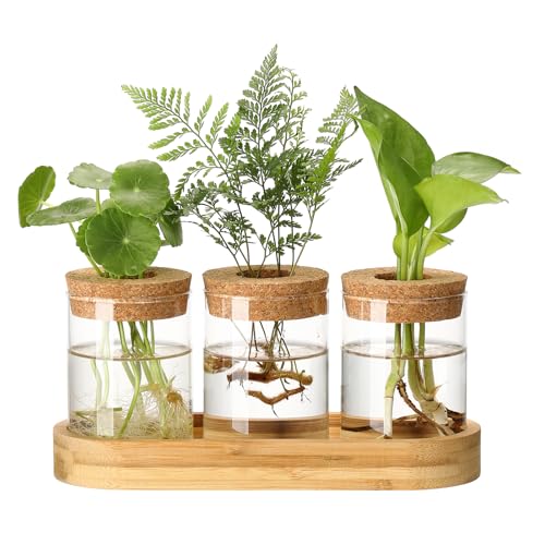 3Pcs Propagation Stations, Plant Terrarium with Lid and Wooden Stand,Desktop Glass Planter Hydroponics Vase,Home Office Living Room Decor Gifts - size: 8.7"L x 3.5"W x 4.7"H