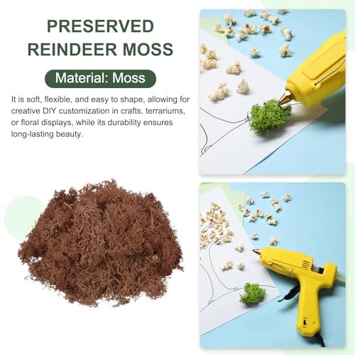 MECCANIXITY 4.6oz Preserved Reindeer Moss, Coffee Decorative Artificial Fake Moss for Potted Plants Indoor Crafts Lichen Centerpieces Decor - color: Coffee, size: 4.6oz
