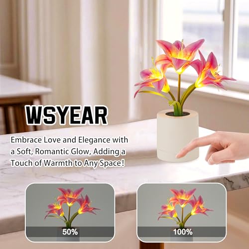 WSYEAR Pink Morning Glory Flowers Table Lamp, Charging Dimmable Cordless Artificial Flower Night Light, Bedroom Office Decor Night Light, Christmas Birthday Gifts for Women Mom - color: Pink Morning Glory
