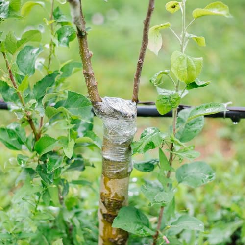 HAINANSTRY Grafting Tape 3PCS, Stretchable Garden Grafting Tape for Fruit Trees, Tree Plant Tape, Plants Repair Tapes for Floral Fruit Tree, Budding Tape(Green & White & Yellow) - size: Pack of 3