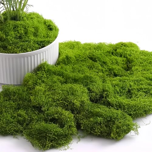16OZ Artificial Moss for Crafts Decorative Artificial Faux Moss for Plant Craft Flower Garden Wedding Christmas Table Centerpieces Decor(Fresh Green)