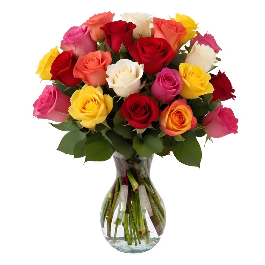 25 Rainbow Roses Assorted Color | Arabella Bouquets | Real Fresh Flowers for Delivery, Gift for Birthday, Women, Congratulations, Anniversary, Thank You, Mother's Day - color: Assorted, size: 25 Stems
