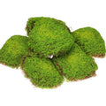 Solsew 6 Pcs Artificial Fake Green Moss for Potted Plant Indoor Waterproof Decorative Faux Moss Decor for DIY Crafts Garden Wedding Party Decoration(Charming) - style: Charming