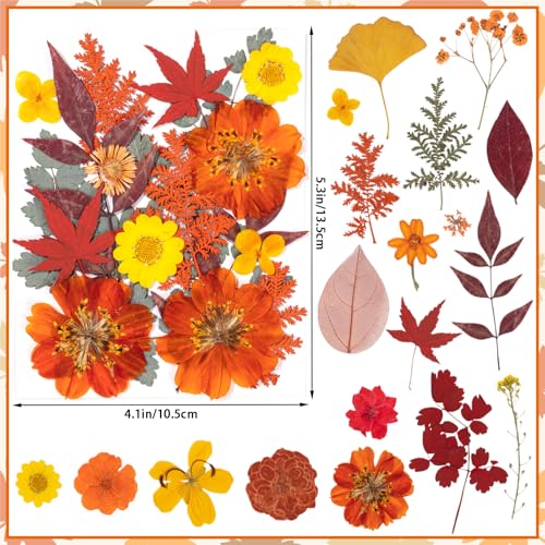 78 Pcs Fall Dried Pressed Flowers with Tweezer, Fall Themed Real Dried Flowers Leaves for DIY Crafts Resin Molds, Yellow Orange Dried Flowers for Autumn Halloween Thanksgiving Decorations - size: Orange