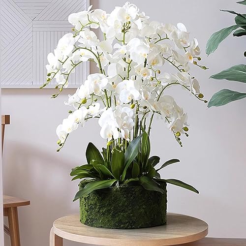 HinyoCo 5 Pcs Artificial Orchid Flowers,Artificial Phalaenopsis Flowers 32 Inch Stem Plants for Home Wedding Decoration (White) - color: White