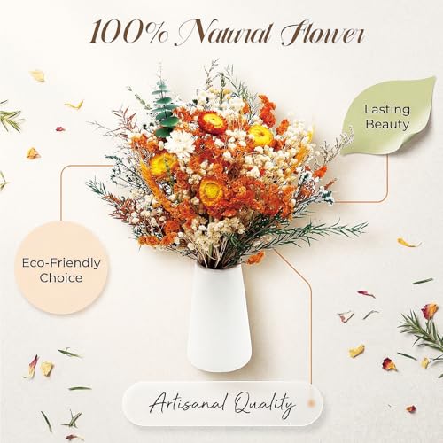 17" Dried Flower Bouquets, 100% Natural Dried Flowers with Dried Daisy,Dried Baby Breath,Chrysanthemum Flowers Decor for Vase Rustic Boho Home Decor,Party Fall Decor - color: Orange Daisy