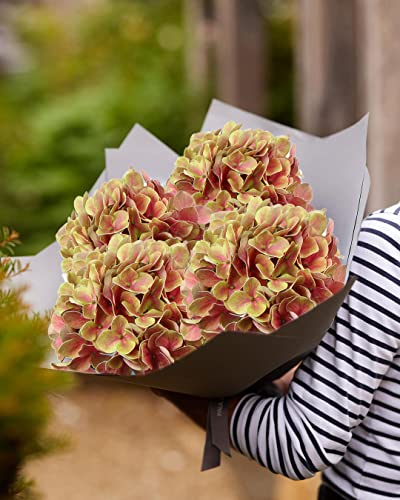 DILATATA Fake Hydrangeas Real Touch Hydrangea Flowers 26" Large Artificial Hydrangea Flowers Silk Hydrangea for Wedding Bouquet, Home, Party - color: Yellow Peach #3, size: 3PCS