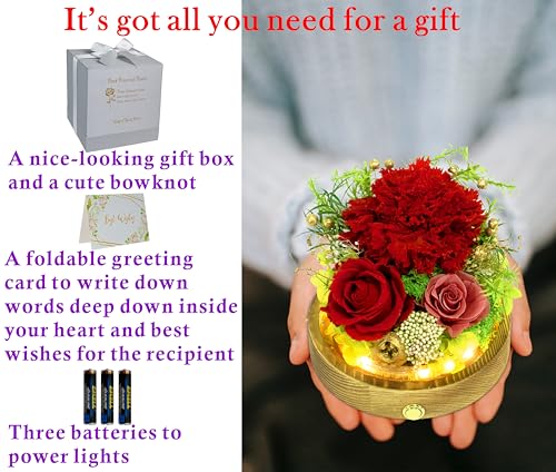 Valley of Rain & Forest Long-Lasting Real Flowers With Delivery | Unique Floral Gift For You to Send Love for All Occasions, Aesthetic Home Decor (Forever Preserved Red Carnation Arrangement) - color: Red Carnation Arrangement