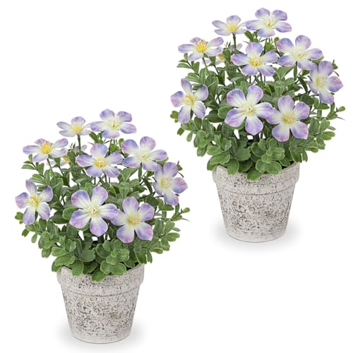 GnFlus Artificial Flower in Rustic Pot Purple Fake Cherry Blossom with Leaves Potted Plant Farmhouse Spring Decor for Home Living Room Shelf Decor Enterway Table Decoration 2 Pack - color: Purple