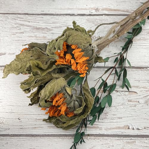 L'BREVOGA Dried Sunflowers with Stem, 3 pcs Natural Dried Sunflower for Floral Arrangements Home Wedding Party Decoration (15 Inches)