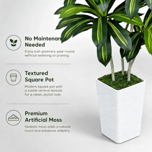 6ft Artificial Dracaena Tree, Realistic Faux Dragon Tree in Pot, 72 Inch Large Fake Silk Tree for Indoor Home Office Decor, Modern Floor Plant for Corner, Housewarming - color: White