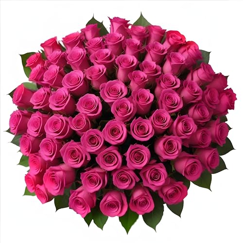 100 Hot Pink Roses | Bulk Roses by Arabella Bouquets | Real Fresh Flowers for Delivery, Gift for Birthday Women, Congratulations, Anniversary, Thank You, Mother's Day - color: Hot Pink, size: 100 Stems
