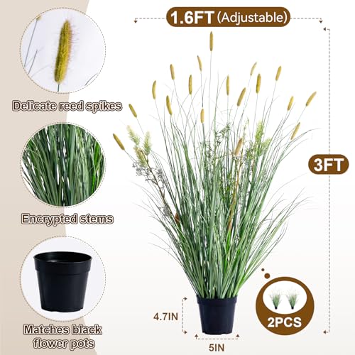 2 Pack Lifelike Faux Plastic plantas Synthetic Pampas Grass Indoor Outdoor Realistic Floor Plants pet Friendly Artificial Grass for Home Office Wedding Patio Fake Grass Decor Housewarming Gift - color: Artificial Foxtail Grass, size: 3FT
